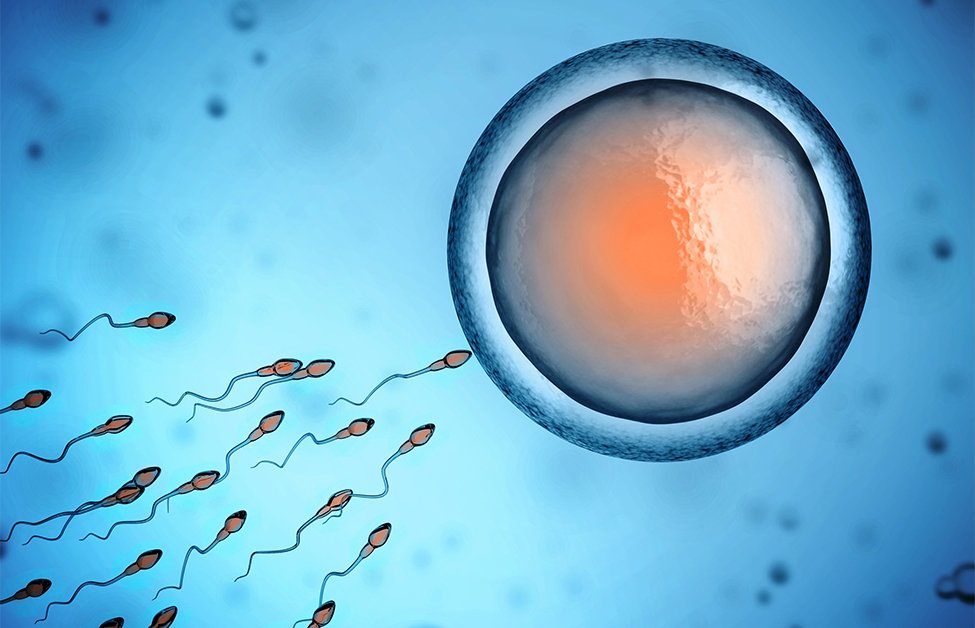 Male infertility diagnosis